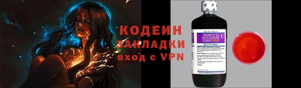 индика Покачи