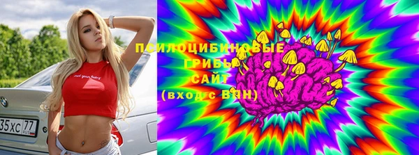 гидропоника Белоозёрский